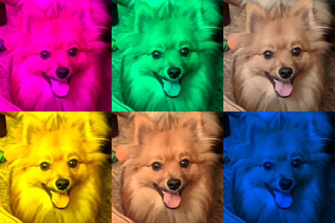 Edited Image Preview